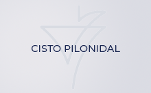 Cisto pilonidal